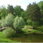 Фото автора Ольга К
