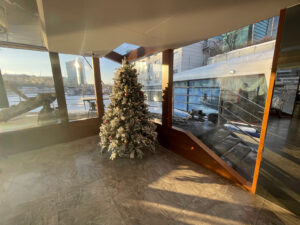 novogodnyaya-noch-2022-na-panoramnom-teplokhode-zhemchuzhina-11