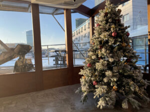 novogodnyaya-noch-2022-na-panoramnom-teplokhode-zhemchuzhina-12