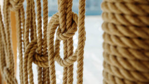 rechnaya-progulka-na-dizaynerskikh-teplokhodakh-moris-ili-volna-ot-kievskogo-vokzala-08