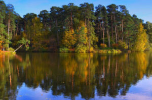 rechnaya-progulka-v-serebryaniy-bor-ot-moskva-siti-07