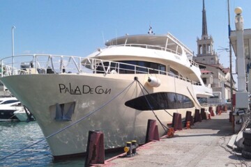 palma-de-sochi-1